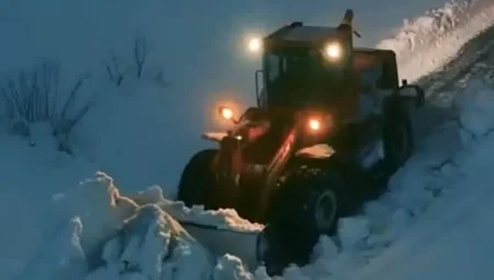 Tarım ve Orman Bakanlığı: ‘Karla kapanan orman yollarını açıyoruz’