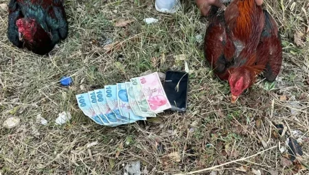 Antalya’da Horoz Dövüştüren 14 Kişiye 129 Bin TL Para Cezası Uygulandı