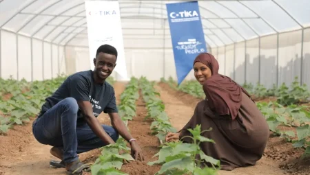 TİKA, Somali’deki Genç Çiftçilere 3 Sera Kurdu, Oğlunun Seracılık Hayalini Gerçekleştirdi