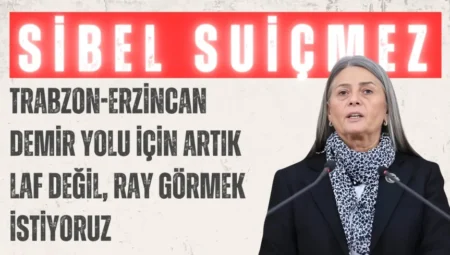 CHP’li Sibel Suiçmez: ‘Trabzon-Erzincan demir yolu için artık laf değil, ray görmek istiyoruz’